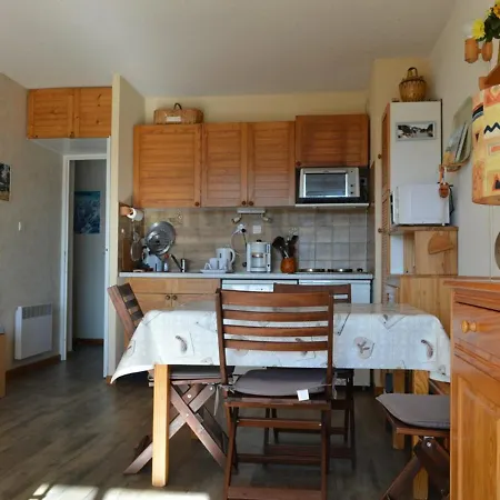 Appartement T2 Au Pied Des Pistes Avec Parking - Fr-1-593-43